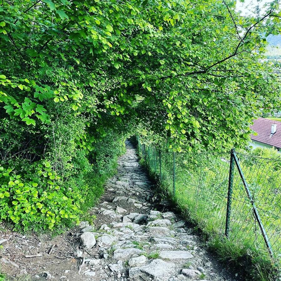 Ferienwohnung Daberer Obervellach Esterno foto